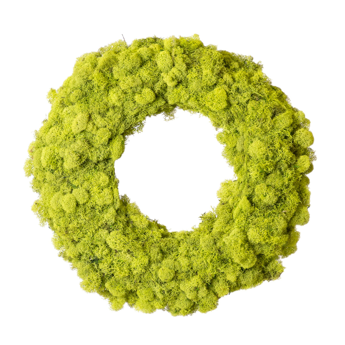 SuperMoss (25189) Lush Reindeer Moss Wreath – Handcrafted Preserved Moss Wreath for Home Décor, Indoor & Sheltered Outdoor Use, Made in USA, 12”, Chartreuse