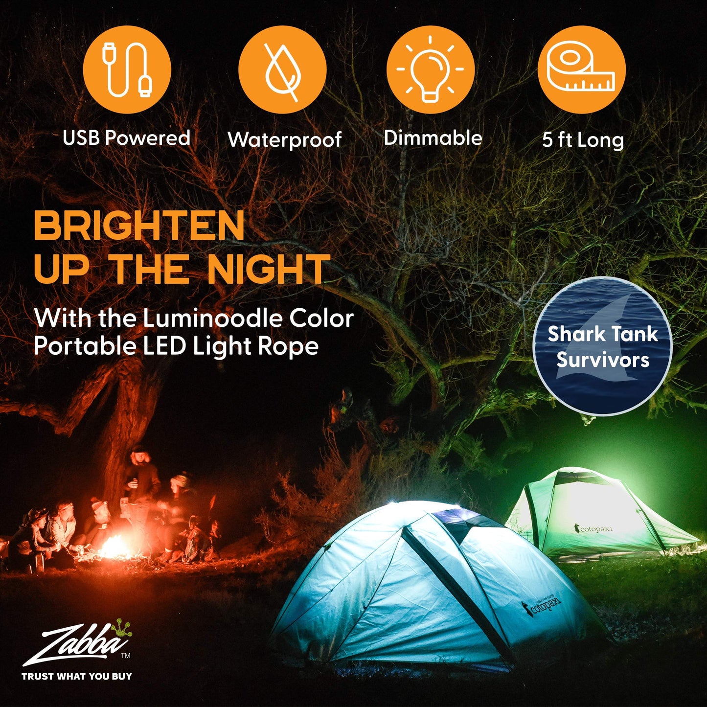 Power Practical Luminoodle Color - 5 ft Color Changing LED String Lights - Outdoor LED String + Lantern for Camping, Hiking, Safety - Remote Control, Dimmer, Waterproof