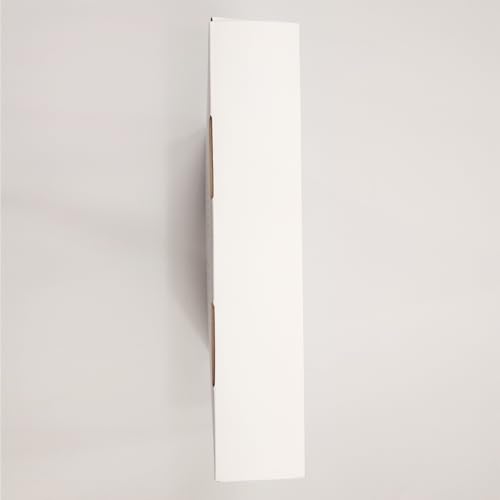 PULUZ 9.8 inch/ 25CM Light Box Portable Photo Box Booth with 10 Levels of Adjustable Brightness, High Definition LED Ring Light with 96 Beads and 12 Coloured Backdrops for Product Photography
