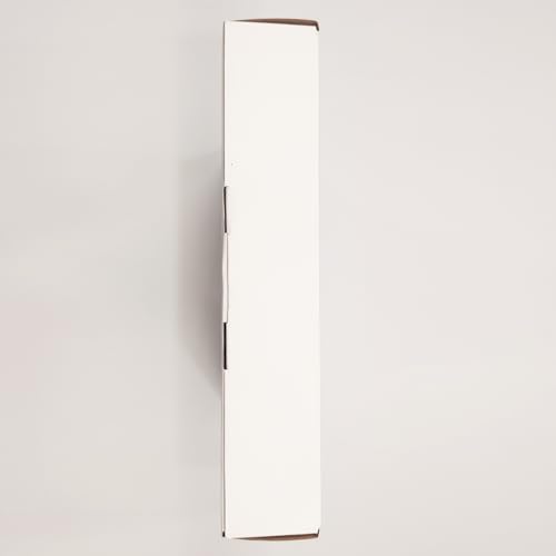PULUZ 9.8 inch/ 25CM Light Box Portable Photo Box Booth with 10 Levels of Adjustable Brightness, High Definition LED Ring Light with 96 Beads and 12 Coloured Backdrops for Product Photography