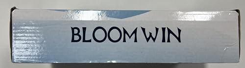 BLOOMWIN Window Lights Christmas Decor 10ft 12 Snowflakes Icicle Lights USB Christmas Curtain Lights for Bedroom Indoor Wall Winter Decorations for Home Church Wedding Birthday, 8 Modes, Warm White