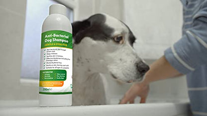 Aqueos Antibacterial, Antiviral & Antifungal Dog Shampoo for Itchy Skin, Minor-Wounds Cuts Grazes Skin Irritations & Sensitive Skin | Soothing & Deodorising Medicated Shampoo Alternative | 1 Litre