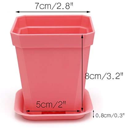 KAHEIGN 24Pcs Square Plant Pots, 7cm Thicken Plastic Flower Pots Succulent Planter Nursery Pots with Pallet/Trays for Small Potted Plants (6 Colors)
