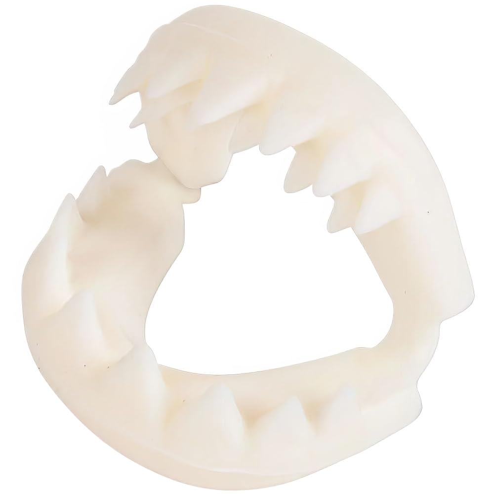 Rhode Island Novelty Great White Shark Teeth