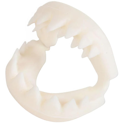 Rhode Island Novelty Great White Shark Teeth