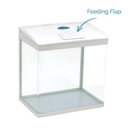 AllPondSolutions Nano Fish Tank with Filter and Light - Rectangular Aquarium Tank with LED Light, Tray Filter System, Curved Glass Front, 90° Tilting Hood - Cold Water Tropical Fish Tank - 29L, White