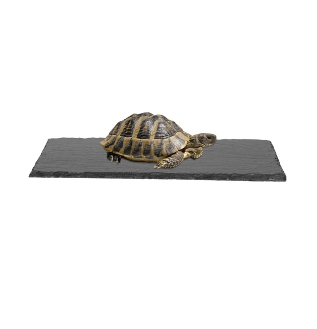 HALONTIN Turtle Basking Platform Rocks Slate Rock for Reptiles Tortoise Food Dish Landscape Habitat Decor Accessories, Basking Rock for Crested Gecko Lizard Bearded Dragon Turtle, Gray