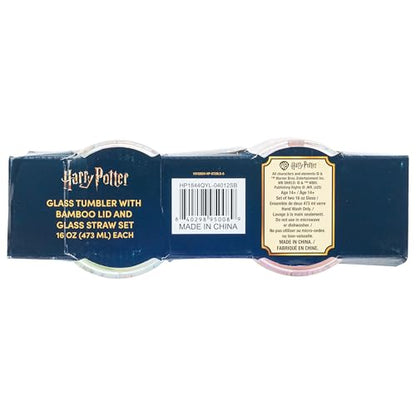 Silver Buffalo Harry Potter Iconic Icons Pattern Wands at the Ready 2 Pack Glass Jar Tumbler with Bamboo Lid and Glass Straw, 16 Ounces