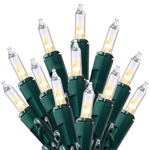 Joiedomi Clear Christmas String Lights Indoor,100 Count Mini Warm White Fairy Light,19.4 FT Lighting Decor for Patio Dorm Classroom Bedroom Holiday Wedding Party Garland Birthday Festival,Green Wire