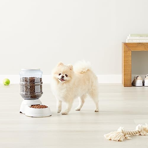 Amazon Basics Dog and Cat Food Feeder, Small, Grey