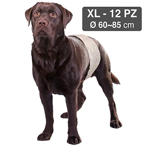 Croci Dog Nappy - Male Dog Diapers - Dog Underpants for Pee - Hygiene Wrap Diaper for Male Dogs, Anti-odour, Disposable, 12 Pieces, Size XL, 60-85 cm