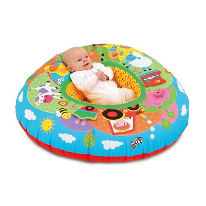 Galt Toys, Playnest and Gym - Farm, Sit Me Up Baby Seat, Ages 0 Months Plus
