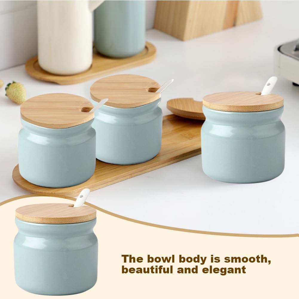 Frinovalt Ceramic Sugar Bowl, Porcelain Sugar Pot with lid and Spoon, 300ml/10.56oz Seasoning Storage Jar Salt Pot Salt Container for Coffee Bar, Home Kitchen(Light Green)