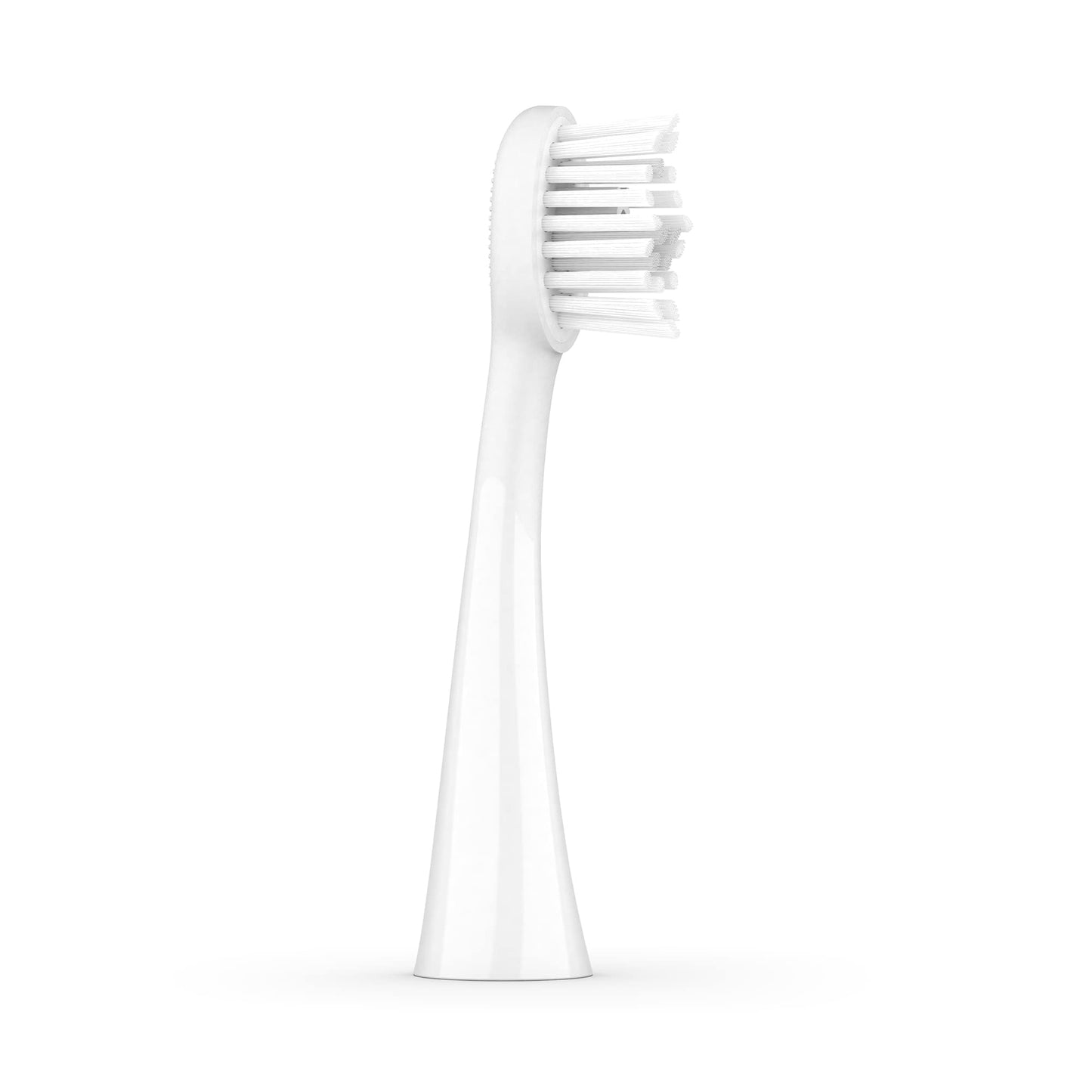 Ordo Replacement Sonic Toothbrush Heads with Pulse Technology for Teeth Cleaning, Plaque Removal, Silicone Polishing, Deep Clean Bristles, Adults, Pack of 4, White Silver