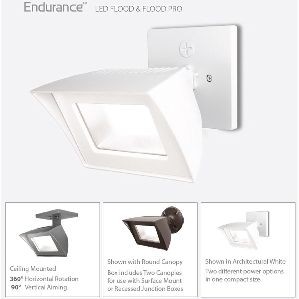 WAC Lighting, Endurance Flood Energy Star 35W LED Flood Light 3000K in Black