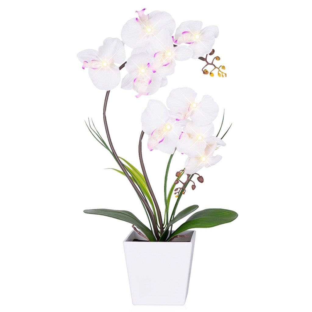 HOMESEASONS Orchid Lamp-LED Lighted Orchid Arrangements,Pre Lit Artificial Orchid,Light Up Flower Lights, Faux Orchid Phalaenopsis Arrangement (White)