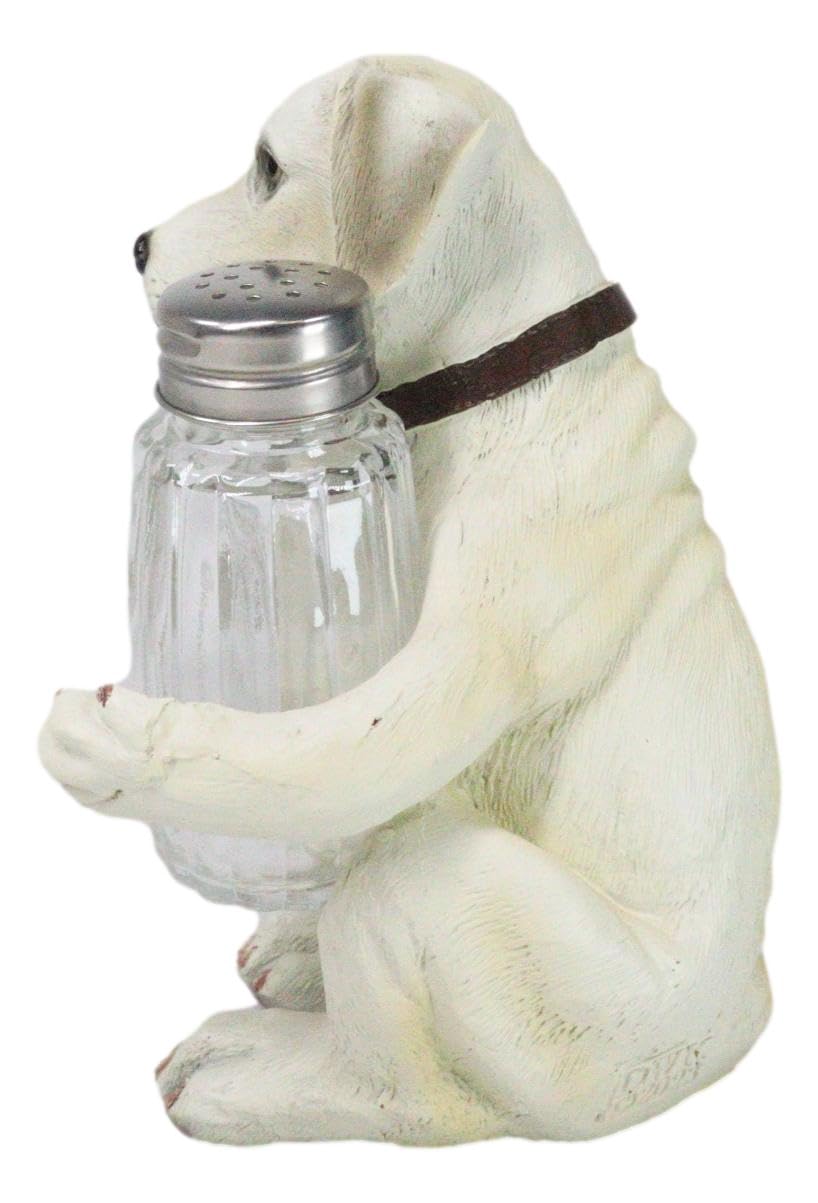 Ebros Pup And Spice Cute Wide Eyed Labrador Puppy Dog Hugging Glass Salt And Pepper Shakers Holder Figurine Whimsical Cartoon Pet Fawn Labradors Decor Statue