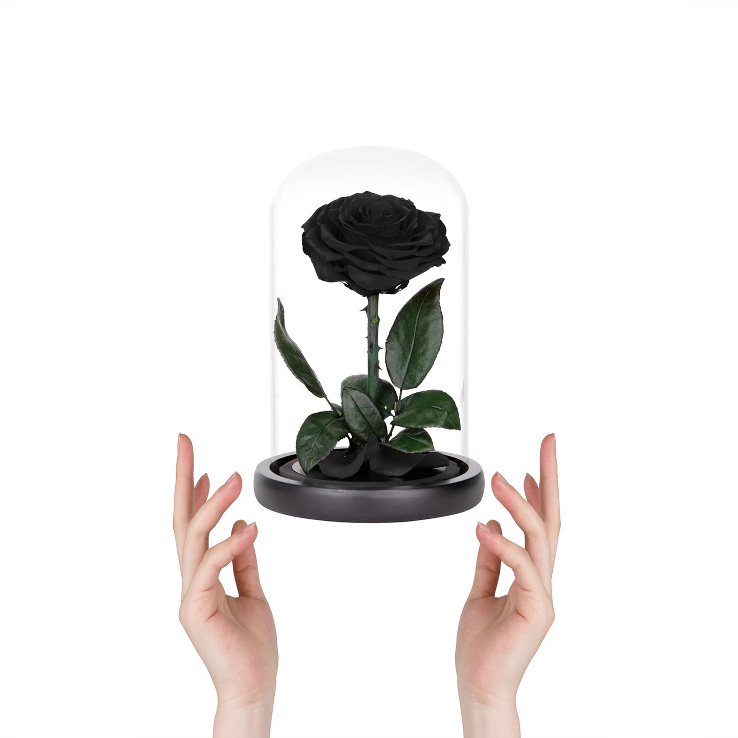 Preserved Roses Black Roses in Glass Dome, Medium, Preserved Flowers for Mothers Day, Gifts for Women