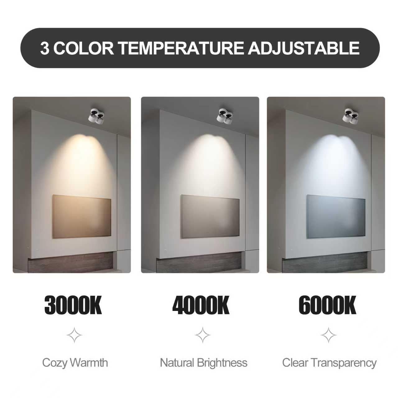 HITOO Ceiling Spot Lights Indoor, Ceiling Accent Lights 3000-6000K Selectable, 20W Dual Head LED Spot Lights, CRI 98, 220° Directional, White Ceiling Spotlight for Kitchen, Plant, Living Room