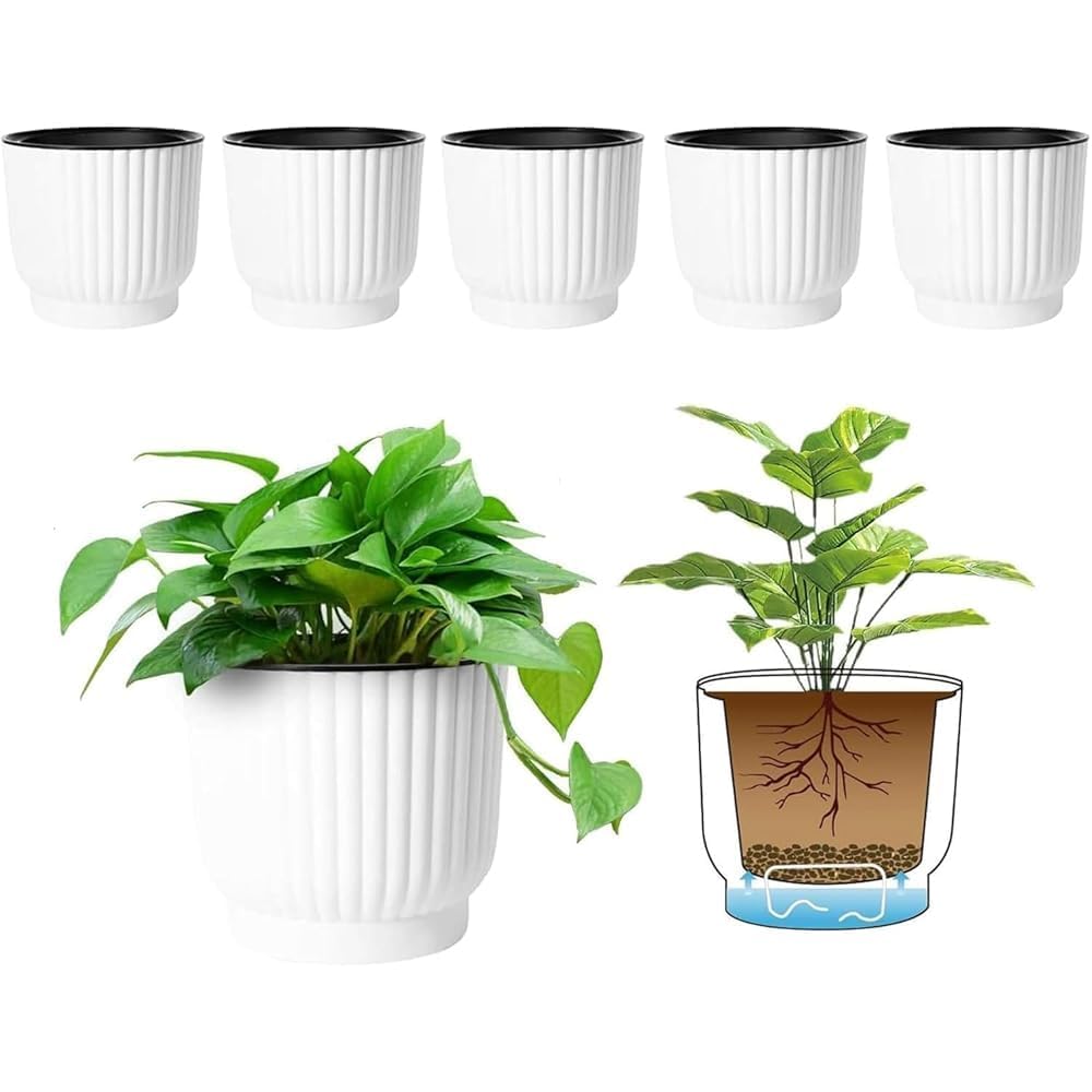 T4U 6 Inch Self Watering Pots for Indoor Plants, 6 Pack White Plastic Flower Pots for All House Plants, Flowers, African Violets