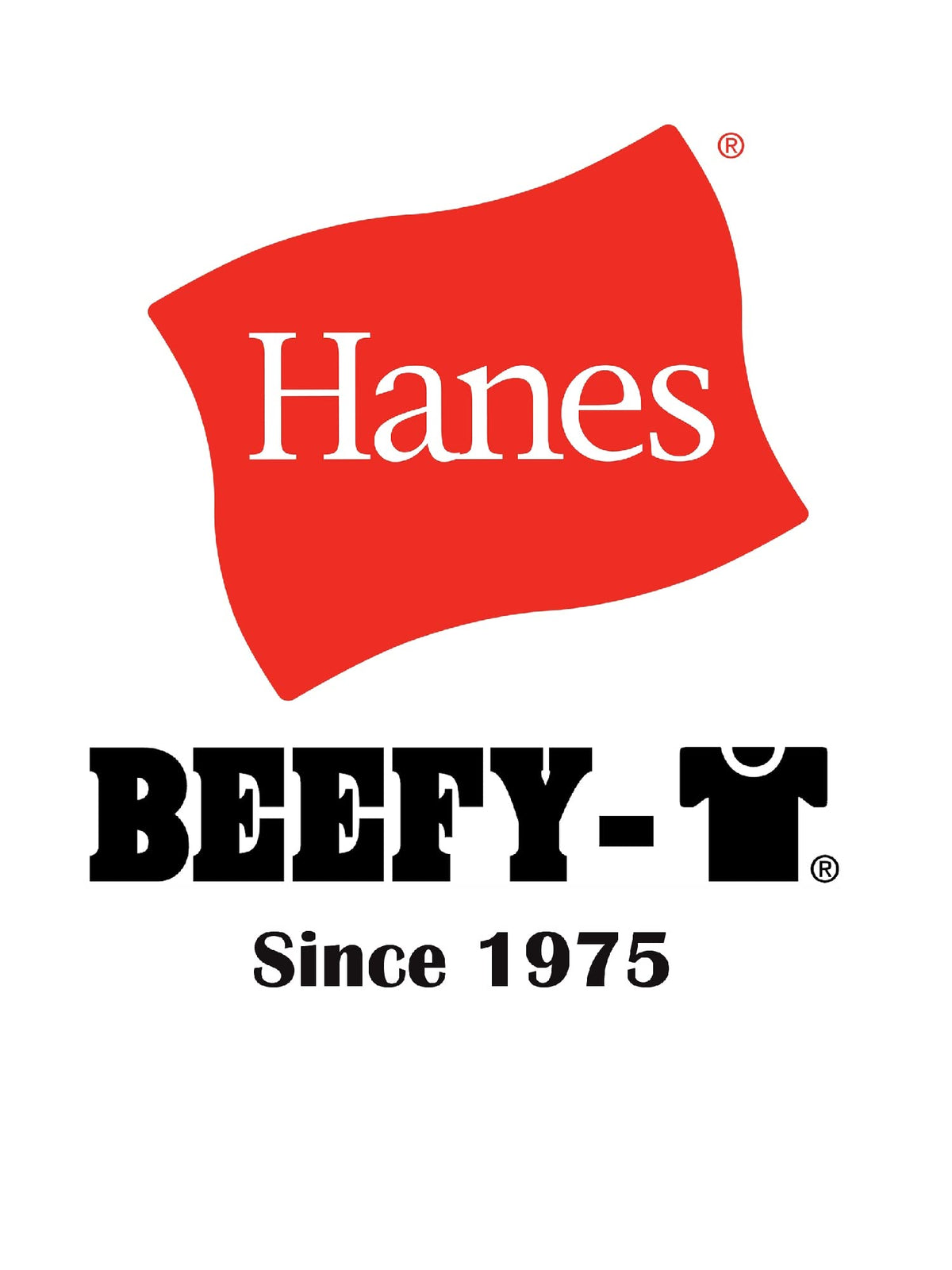 Hanes Mens Beefyt T-shirt, Heavyweight Cotton Crewneck Tee, 1 Or 2 Pack, Available In Tall Sizes Fashion-t-shirts, White - 1 Pack, Medium US