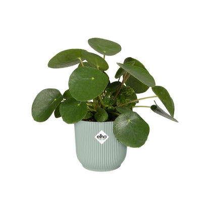 elho Vibes Fold Round 18 - Flower Pot from 100% Recycled Plastic - Indoor plant pot - Ø 18.4 x H 16.8 cm - Green/Sorbet Green