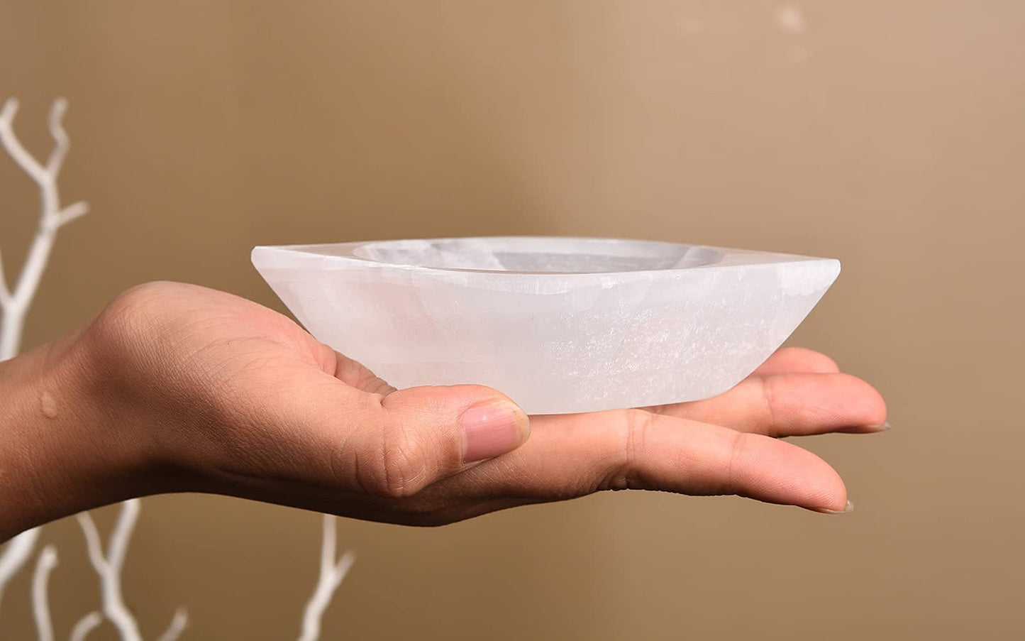 AMOYSTONE Natural Selenite Bowl Leaf Shaped 4" - Charging Tray for Crystals Creative Dish Jewelry Storage Bowls for Home Decor