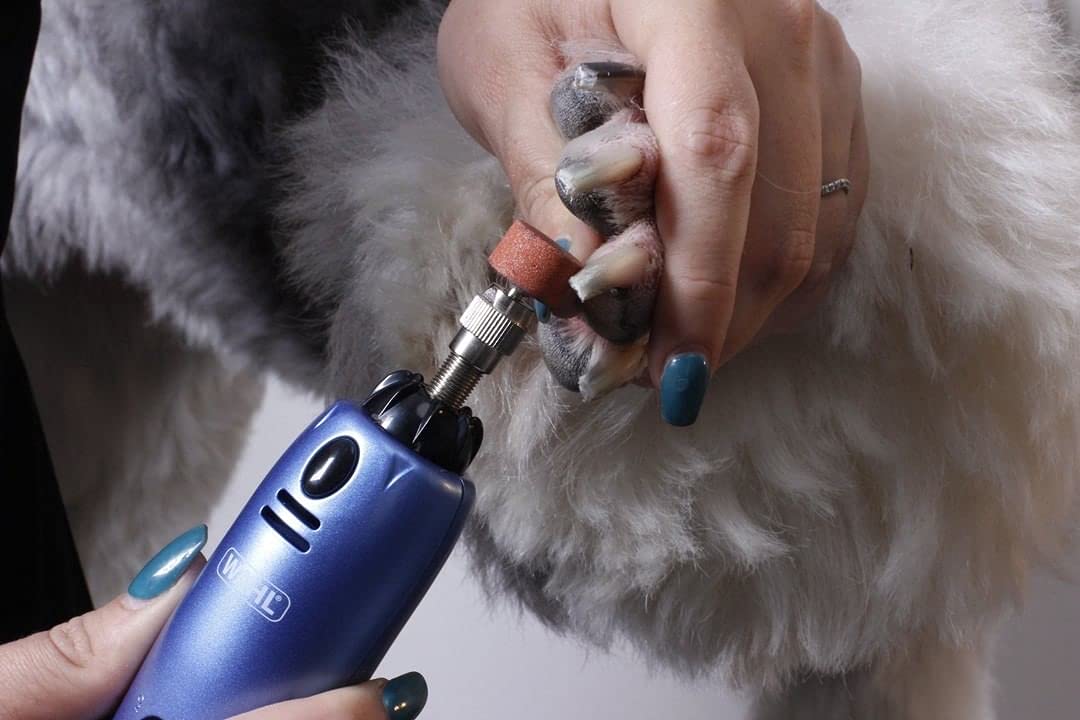 WAHL Dog Nail Grinder/File for Pets, Mains Powered, Clear, 1 Count (Pack of 1)