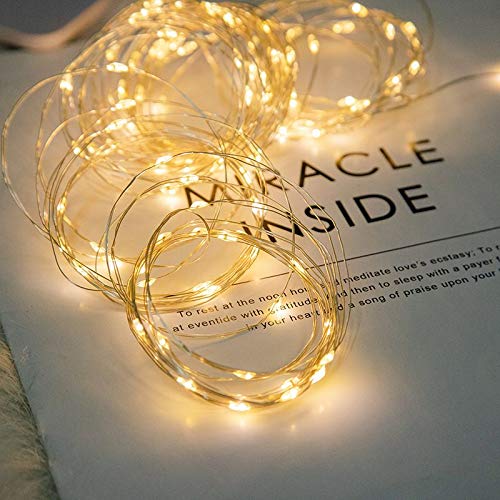 LIIDA [10-Pack] LED String Lights 3.5FT LED Moon Lights 20 Led Micro Lights On Silver Copper Wire for DIY Wedding Centerpiece Table Decoration Party (Warm White)