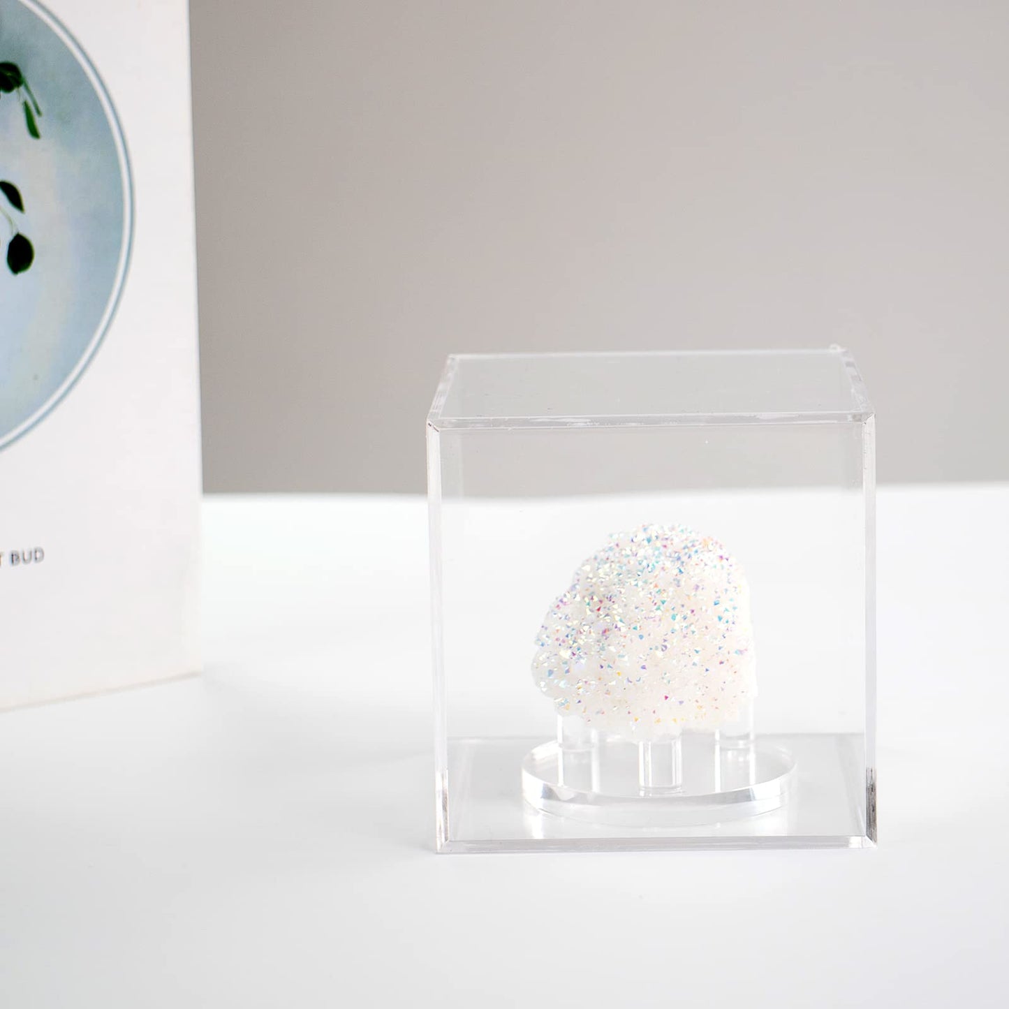 Kcgani 3 Pegs Round Display Easel Stands with Transparent Acrylic Box, Multiple Decoration Storage Case, Small Items Stands for Displaying Collectible Stone Rock Mineral Geodes (Medium-4x4x4in, 1Pcs)