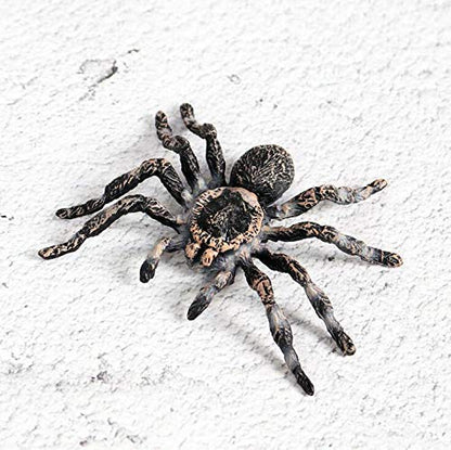 FLORMOON Realistic Animal Figures - Spider Action Model Lifelike Insect Toy Figures - Educational Learning Toys Birthday Gift Set for Boys Girls Kids Toddlers