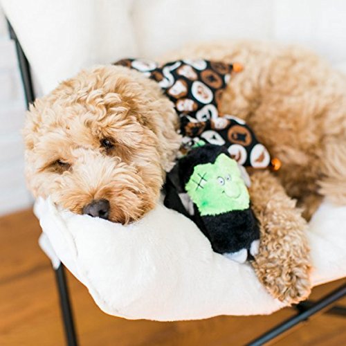 ZippyPaws Squeakie Buddies - No Stuffing Dog Toys to Keep Them Busy, for Small & Medium Dogs, Squeaky Pet Toy for Boredom, Unstuffed Chew Toy, Soft Plush Puppy Products - Pack of 3
