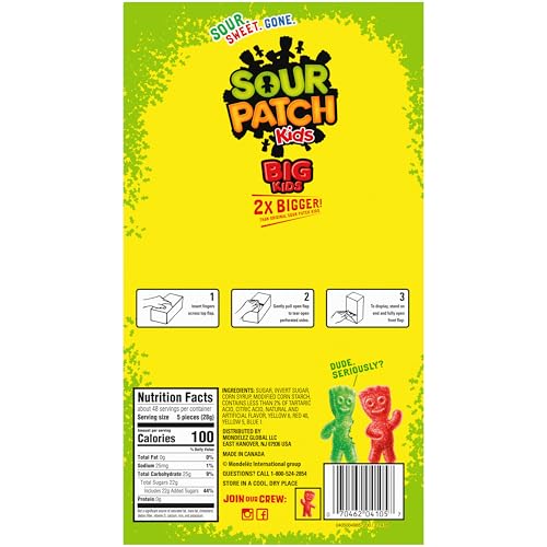 SOUR PATCH KIDS Big Kids Individually Wrapped Soft & Chewy Candy, Bulk Candy, 240 Count Box