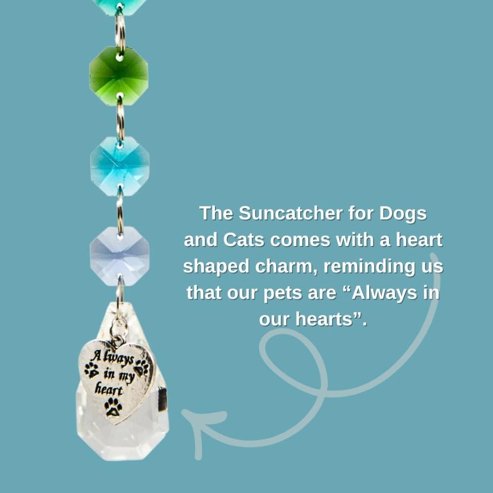 Pet Perennials Pet Memorial Suncatcher – Crystal Rainbow Prism with Angel Wings & Paw Print Charm – Cat and Dog Loss Gifts for Window Display – Memorial Ornament for Remembrance