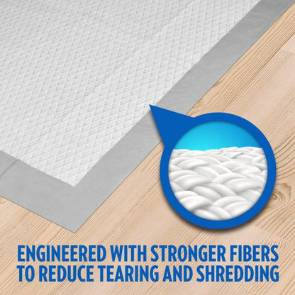 OUT! Go Here Absorbent Pet and Puppy Training Pads 100 Disposable Pads. 53 x 55cm. 5 layer leak-proof odour-control non-slip |100 Pads