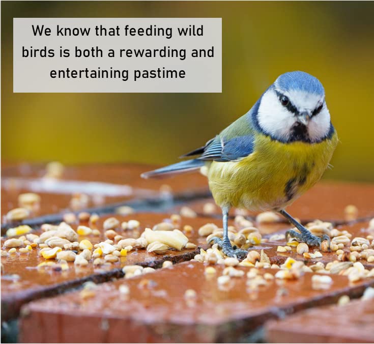 Dried Mealworms 5kg Premium Insectivorous Wild Bird Food By Maltbys' Stores 1904 Limited