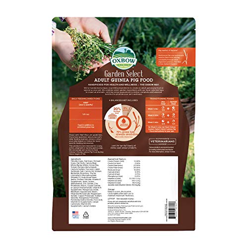 Oxbow Garden Select Guinea Pig Food, Adult, Made Timothy Hay for Guinea Pig, Pet Food Pellets with Vitamin C, Non-GMO, Small Animal Pet Products, Made in USA, High Fiber, 8 lb. Bag
