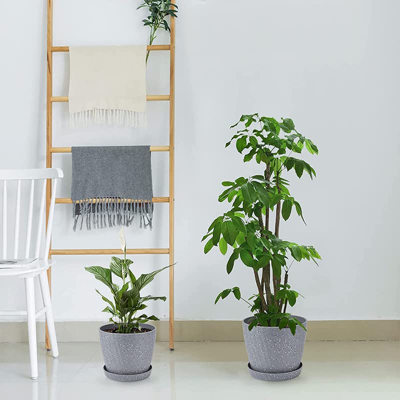 Plant Pots Indoor, 6Pack Plastic Plant Pots 19/17.5/16.5/15.5/14/11.5cm, Flower Pots Outdoor Self Watering Indoor Plant Pot with Drainage Holes and Tray, Plastic Planter for Garden House Plants(Grey)