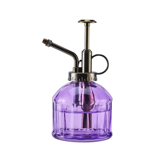 Ebristar Vintage Glass Plant Mister, 6.5" Tall Spritzer Watering Can, Succulent Sprayer with Top Pump, Small Plant Mister for Indoor & Outdoor - Purple