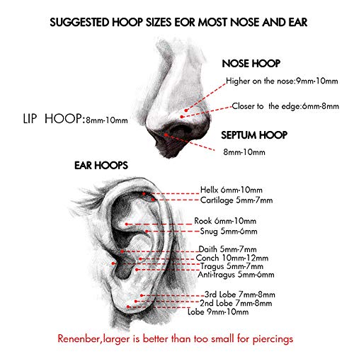 OUFER 18G 20G Nose Ring Hoops Hinged Seamless Segment Helix Piercings Nostril Clicker 316L Stainless Steel CZ Line Daith Tragus Cartilage Earring Jewellery