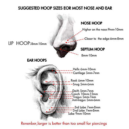 OUFER 18G 20G Nose Ring Hoops Hinged Seamless Segment Helix Piercings Nostril Clicker 316L Stainless Steel CZ Line Daith Tragus Cartilage Earring Jewellery
