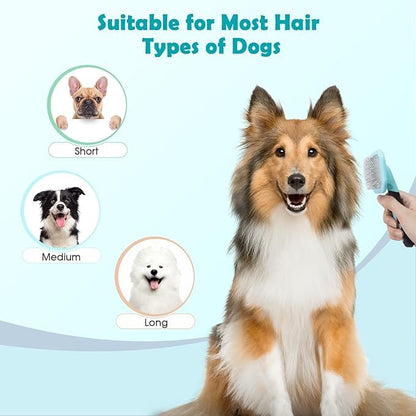 PETPAWJOY Dog Cat Slicker Brush, Gently Cleaning Pin Brush for Shedding Dogs Hair Brushs for Small Puppy Yorkie Poodle Rabbits Cats