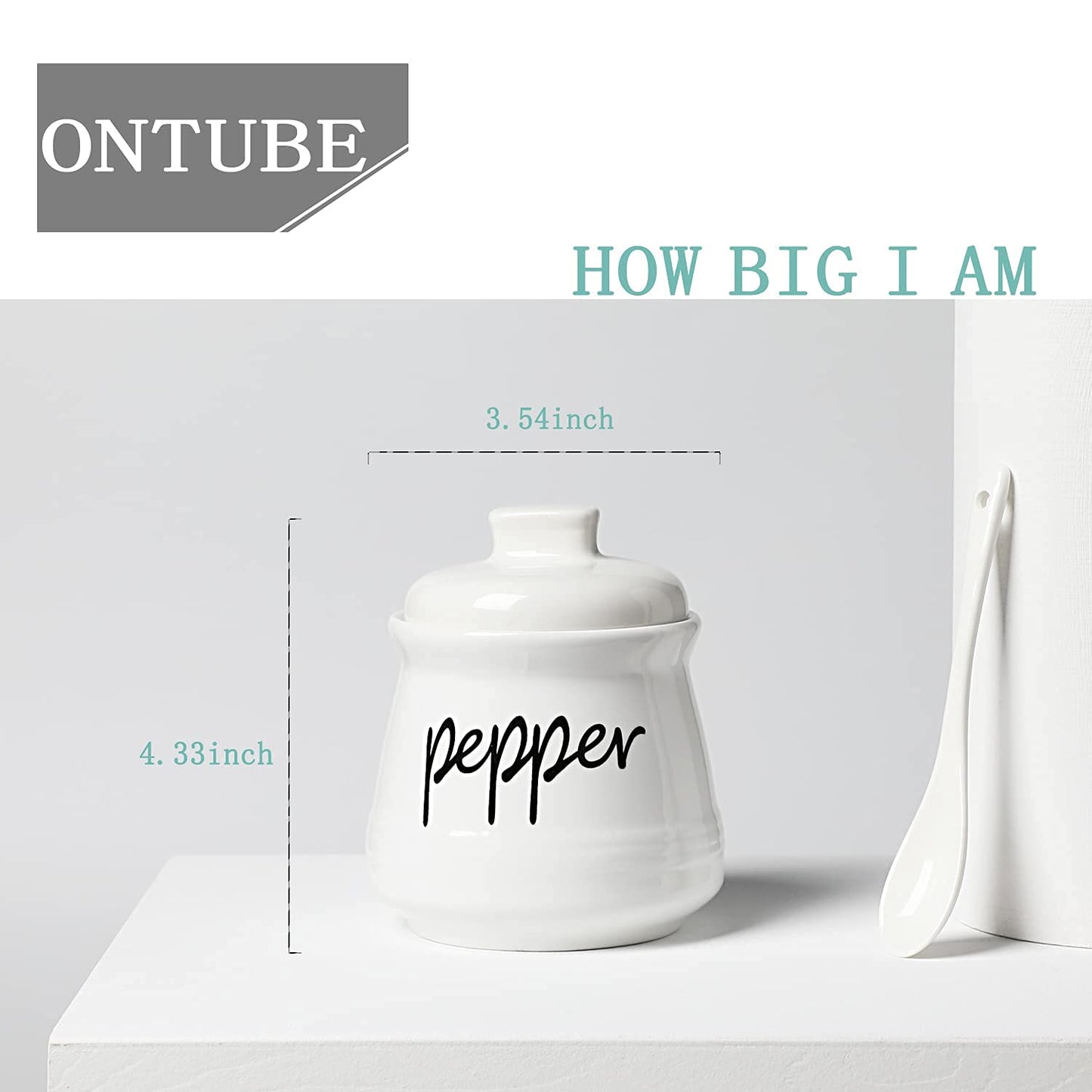 ONTUBE Ceramic Salt and Pepper Bowls with Lid and Spoon 12oz (White)