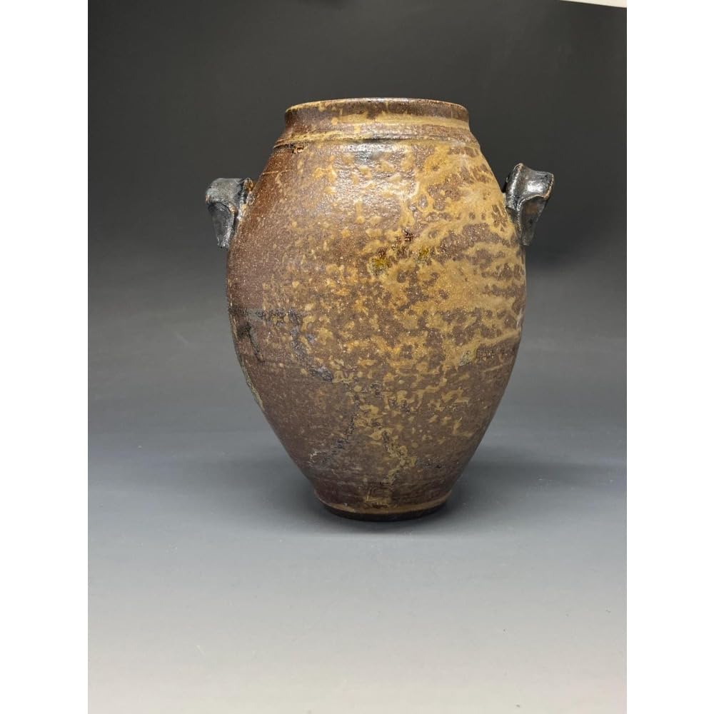 7.5" Side Fired Salt Glazed Stoneware Vase with Handles, Boho Terracotta Large Pottery, Rustic Farmhouse Decorative vases for Centerpieces