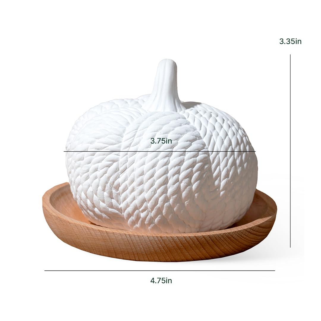 Plant Therapy Passive Lotus Flower Aromatherapy Diffuser - A Chic and Natural Home, Office, and Travel Essential Oil Diffuser