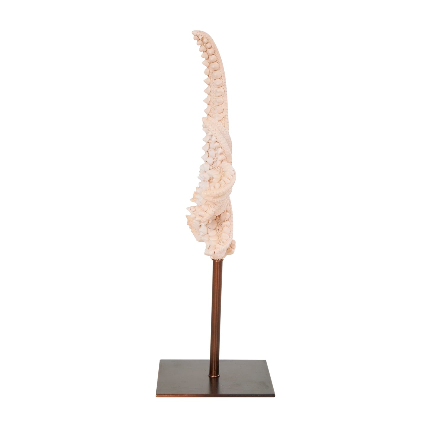 Deco 79 Polystone Starfish Decorative Sculpture Textured Home Decor Statue with Copper Stand, Accent Figurine 8" x 4" x 12", Pink