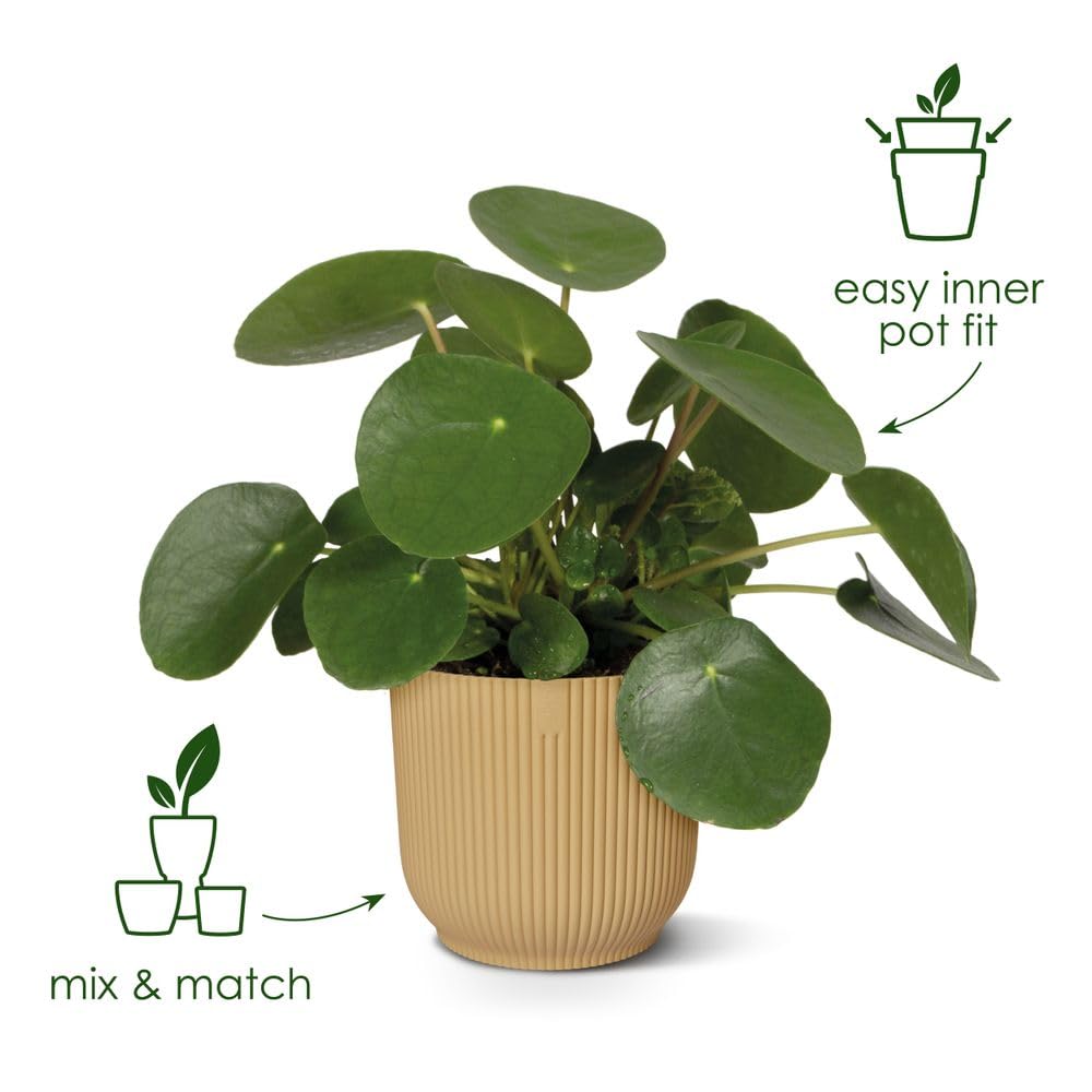 elho Vibes Fold Round 18 - Flower Pot from 100% Recycled Plastic - Indoor plant pot - Ø 18.4 x H 16.8 cm - Green/Sorbet Green