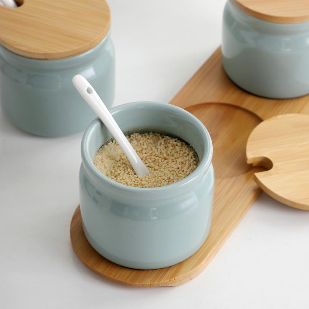 Frinovalt Ceramic Sugar Bowl, Porcelain Sugar Pot with lid and Spoon, 300ml/10.56oz Seasoning Storage Jar Salt Pot Salt Container for Coffee Bar, Home Kitchen(Light Green)