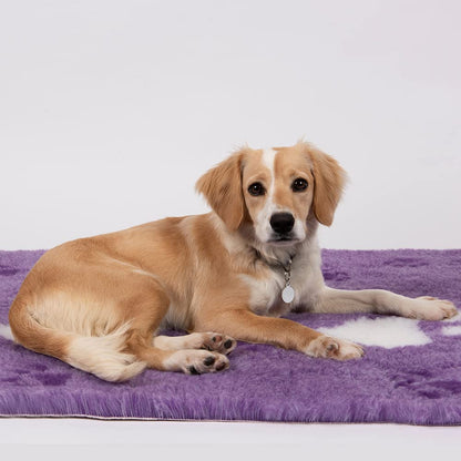 Vet Fleece Bedding | Vet Bed Original Non-Slip | for Puppys and Dogs | Manufactured in our British Mill| 40" x 30" (1.00m x 0.75m) Charcoal with Grey Multi-Paws | Quick Drying | Washable | Dog Bed