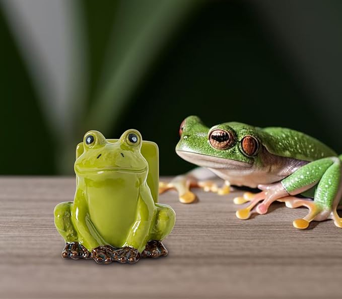Frog Sponge Holder for Kitchen Sink Cute Kitchen Sponge Holder Ceramic Kitchen